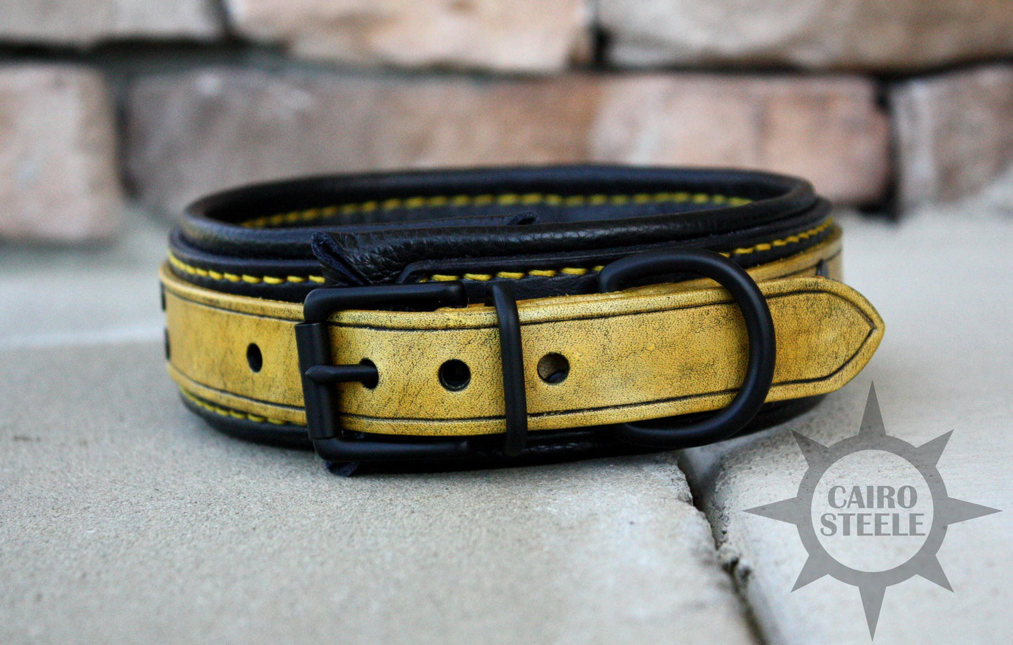 Neon Series Leather Collar: Yellow