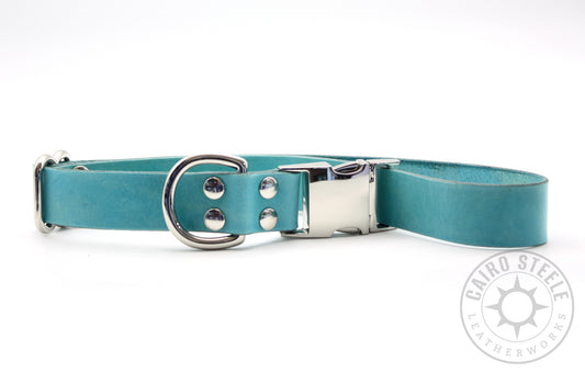 Turquoise Puppy Collars