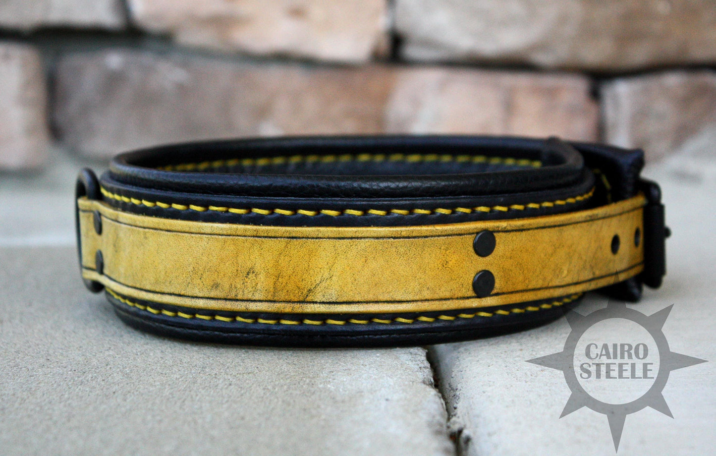 Neon Series Leather Collar: Yellow