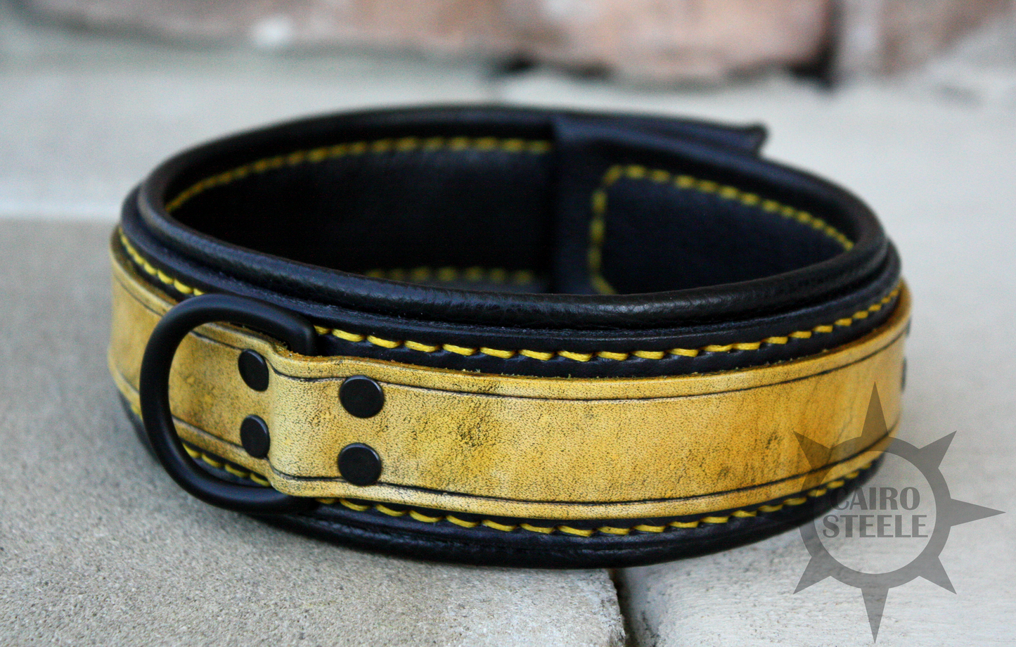 Neon Series Leather Collar: Yellow