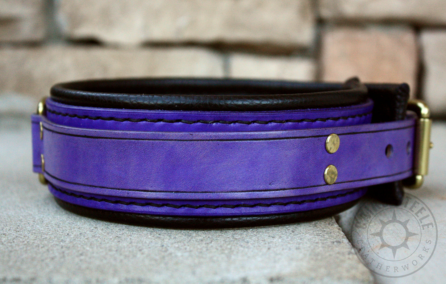Turquoise & Lilac Collar Pair [2025]