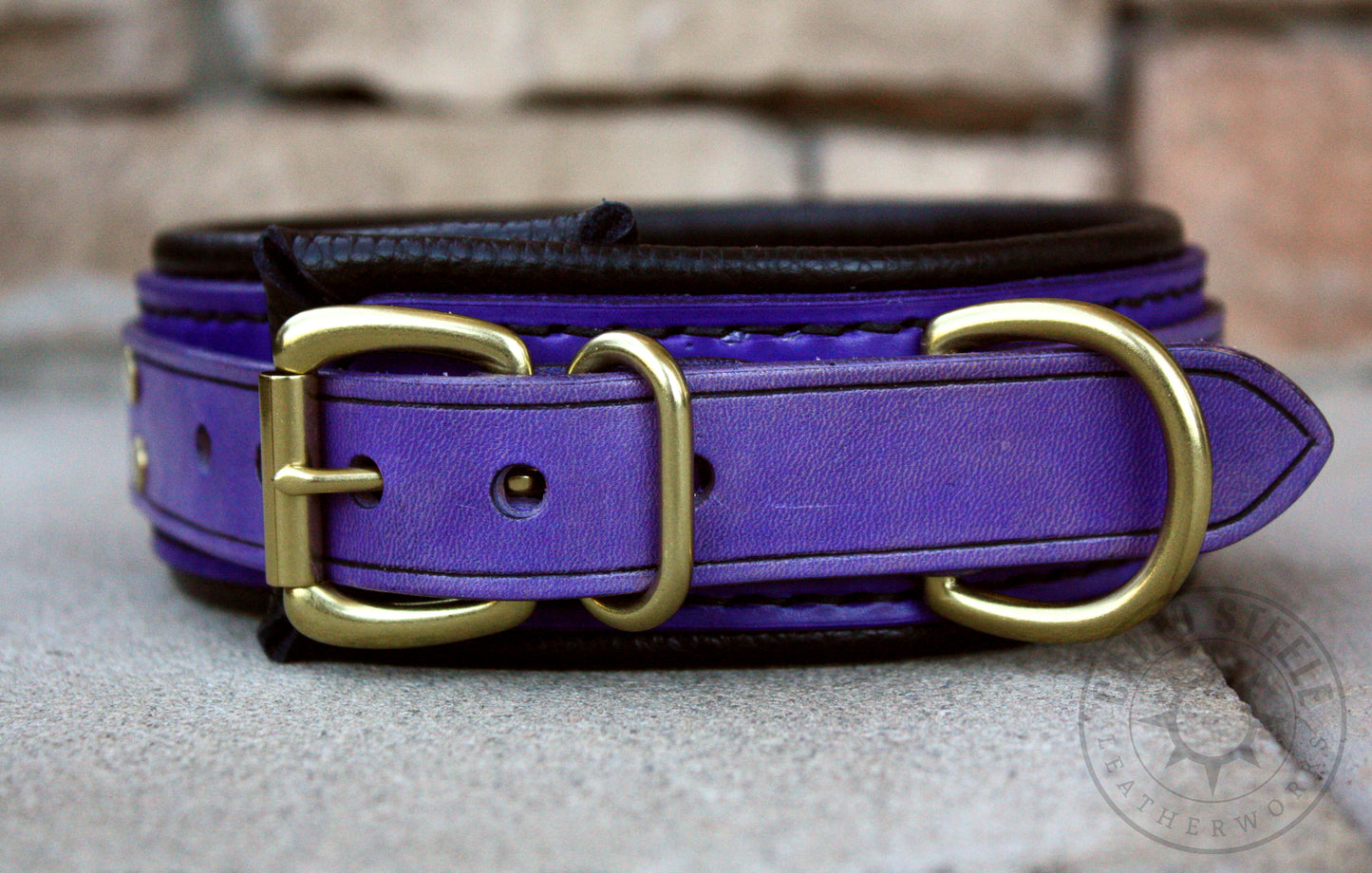 Turquoise & Lilac Collar Pair [2025]