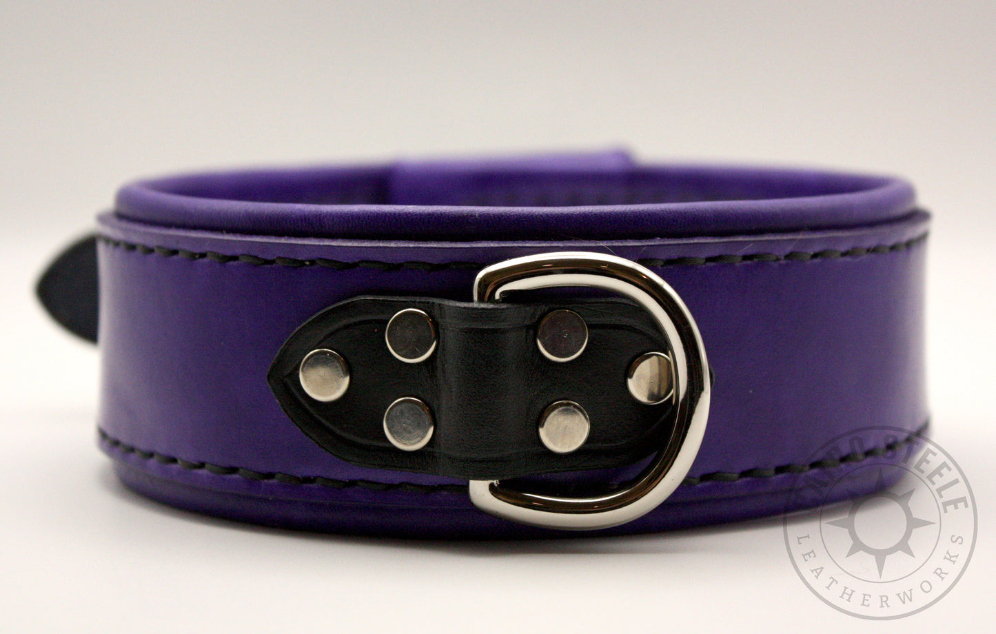 Purple & Black Collar [2025]