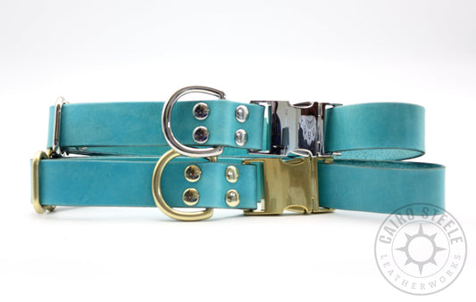 Turquoise Puppy Collars