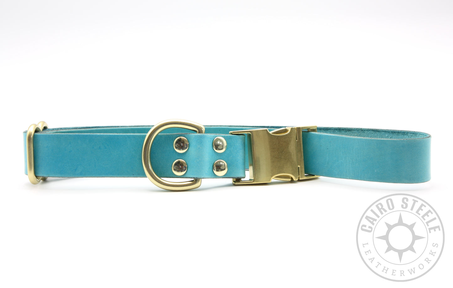 Turquoise Puppy Collars