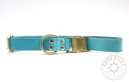 Turquoise Puppy Collars