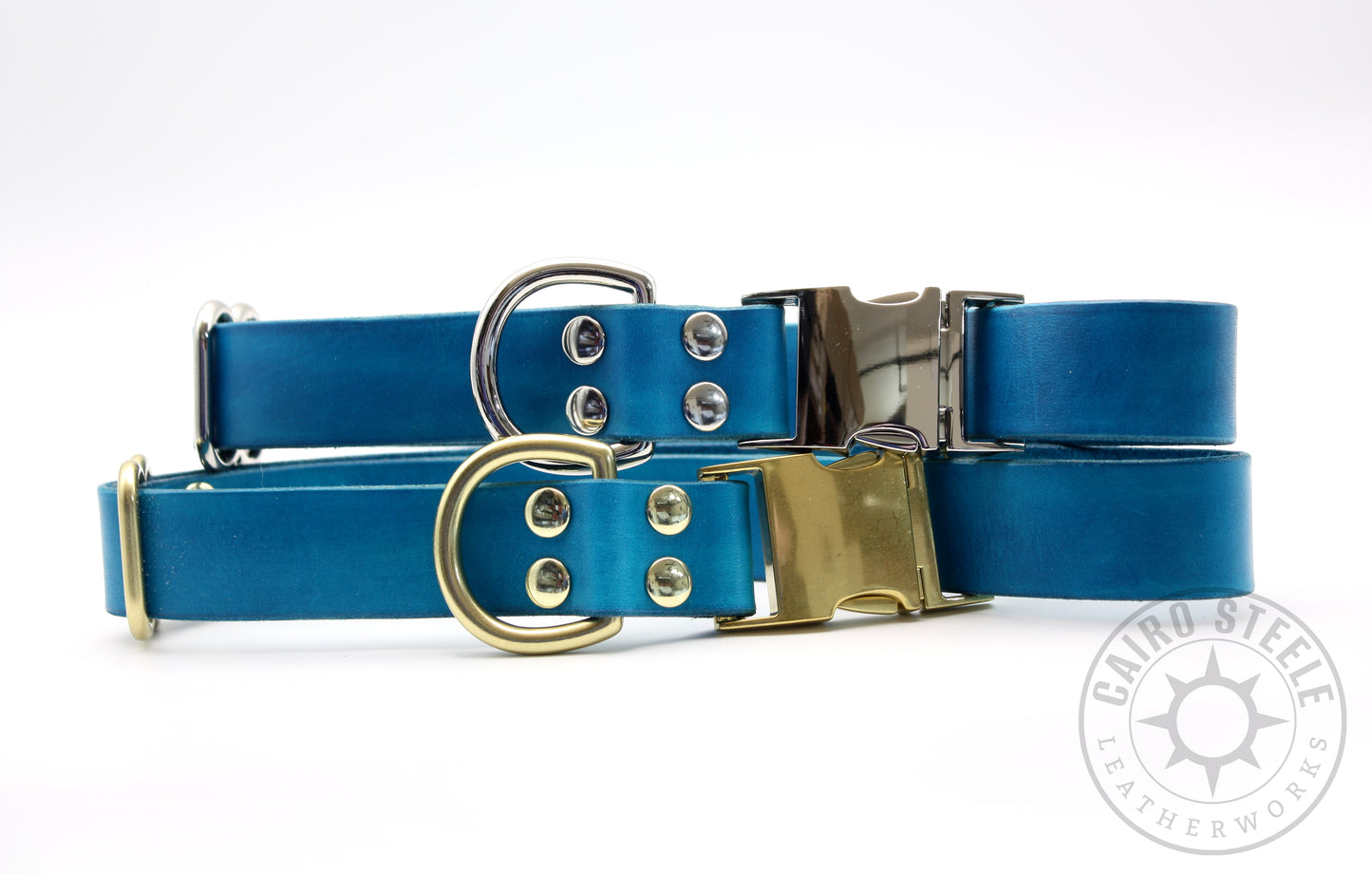 Aqua Puppy Collars