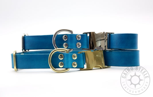 Aqua Puppy Collars