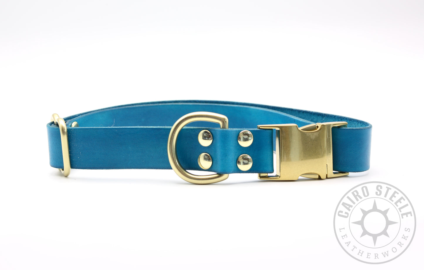 Aqua Puppy Collars