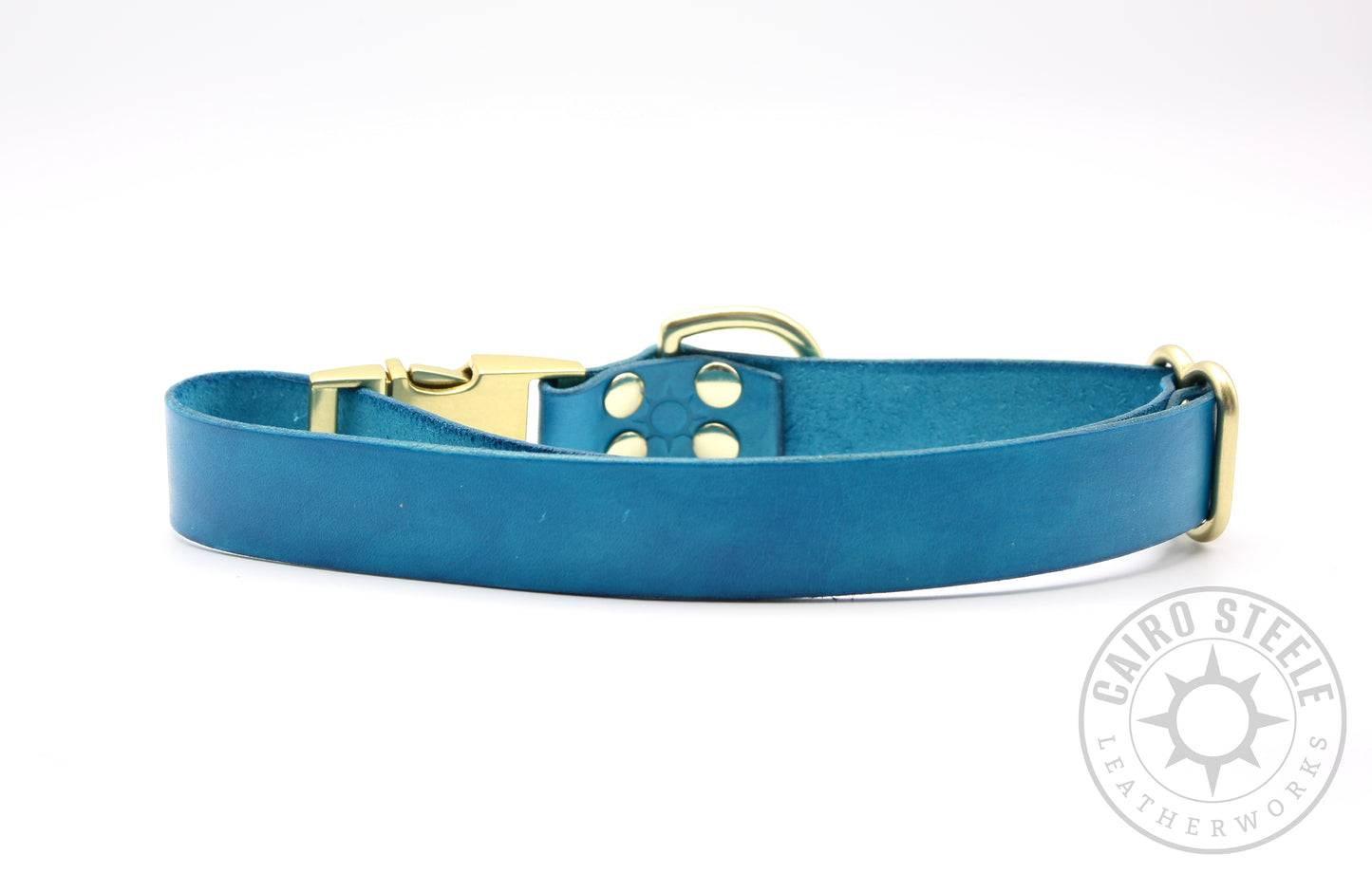 Aqua Puppy Collars