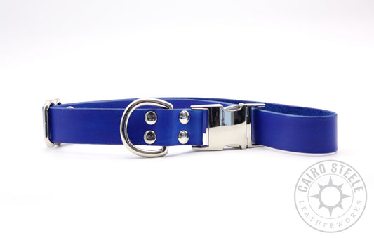 Blue Puppy Collars
