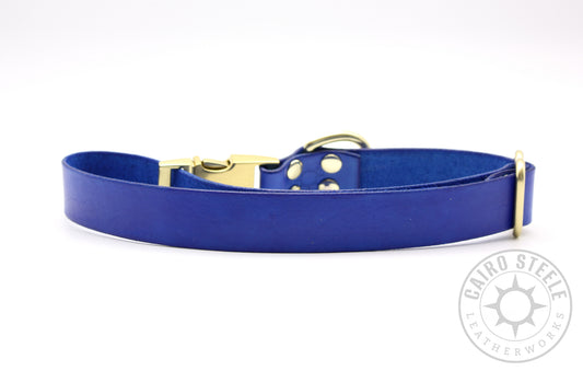 Blue Puppy Collars