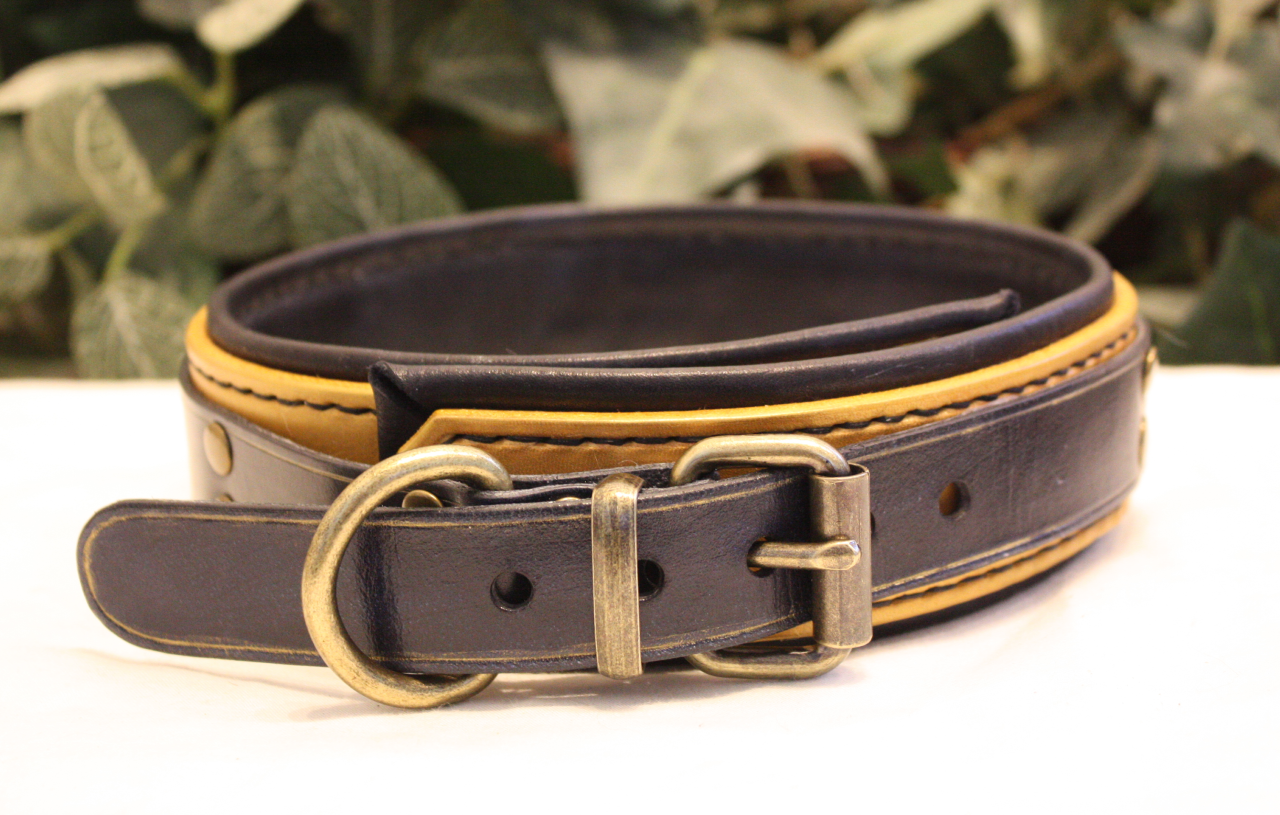 Black & Gold Ankh Collar [2024]