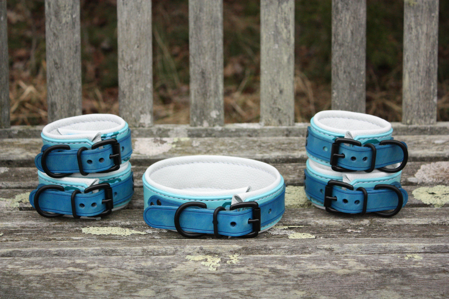 Blue Leopard-Print Collar & Cuff Set [2025]