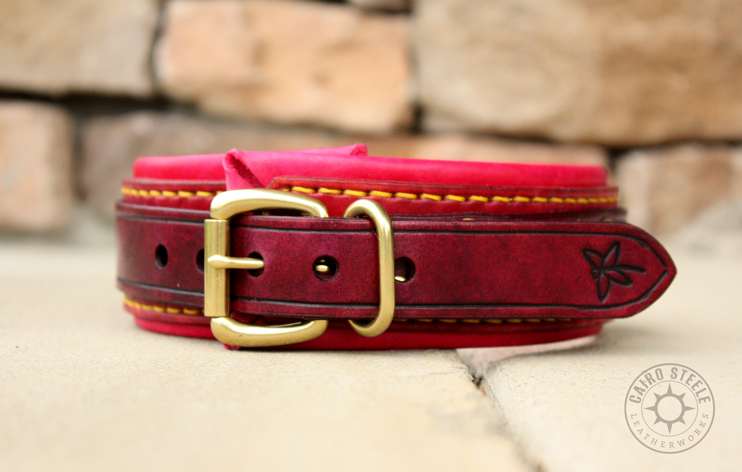 Dragonfly Collar & Cuff Set [2025]