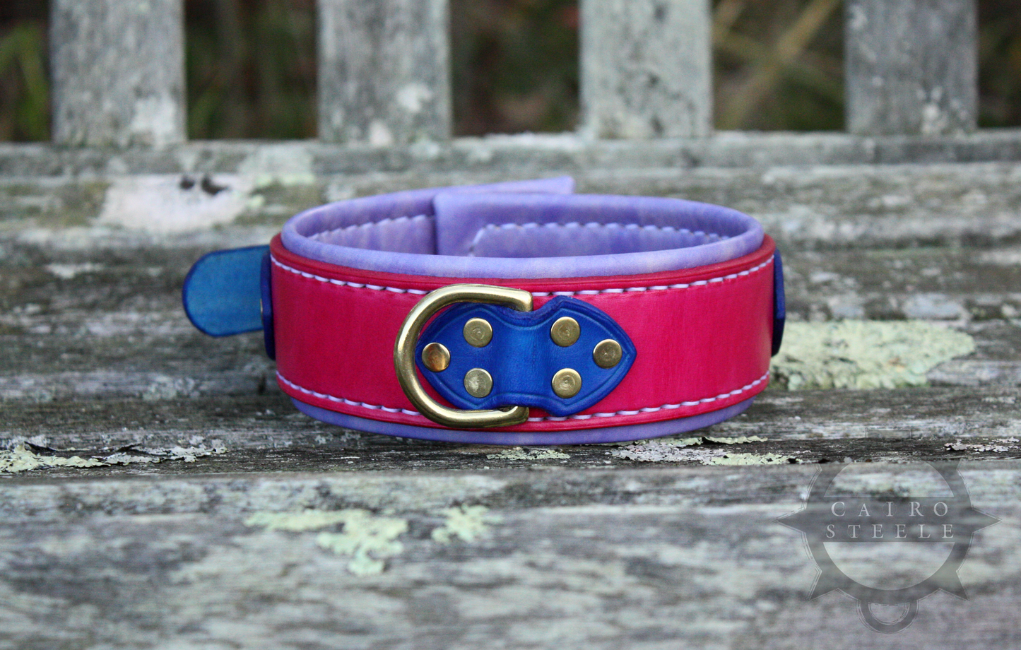 Bisexual Collar [2024]