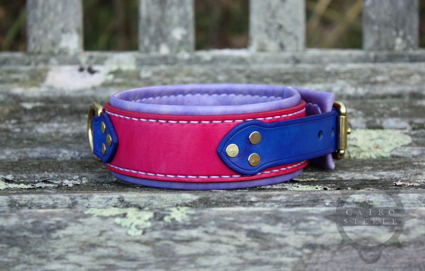 Bisexual Collar [2024]