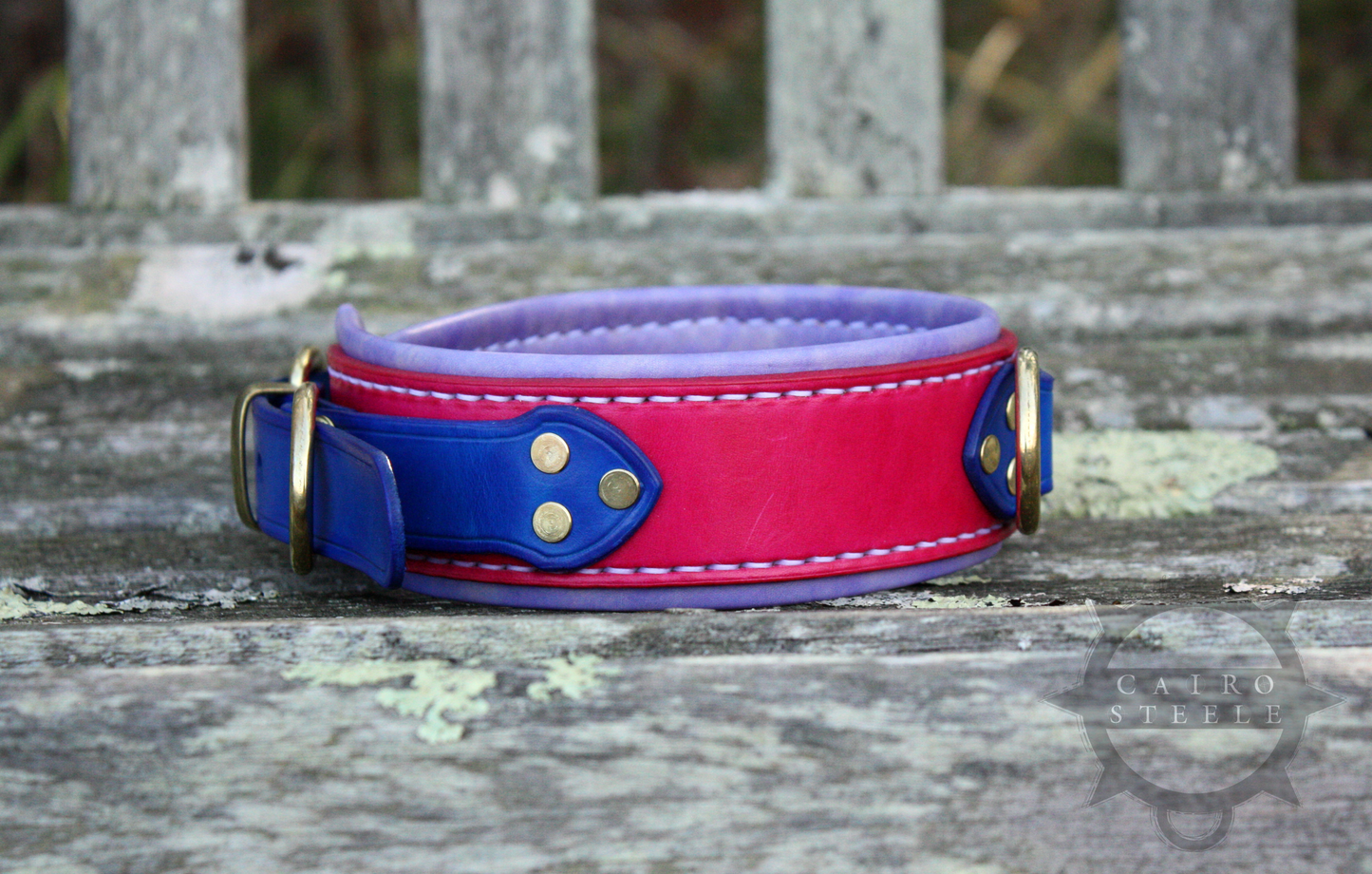 Bisexual Collar [2024]