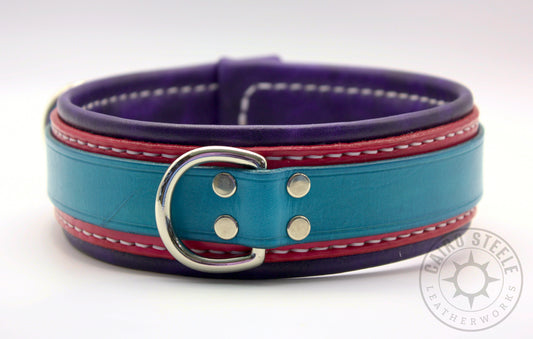 Cerulean & Hot Pink Collar