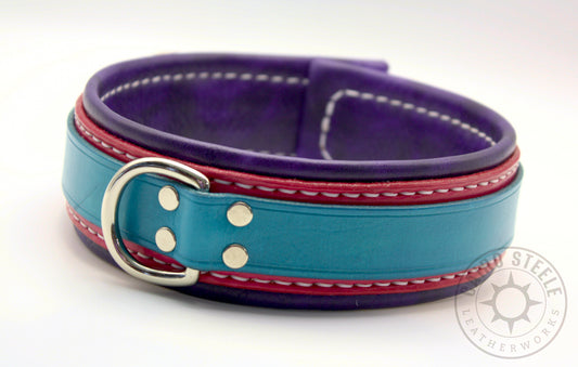 Cerulean & Hot Pink Collar