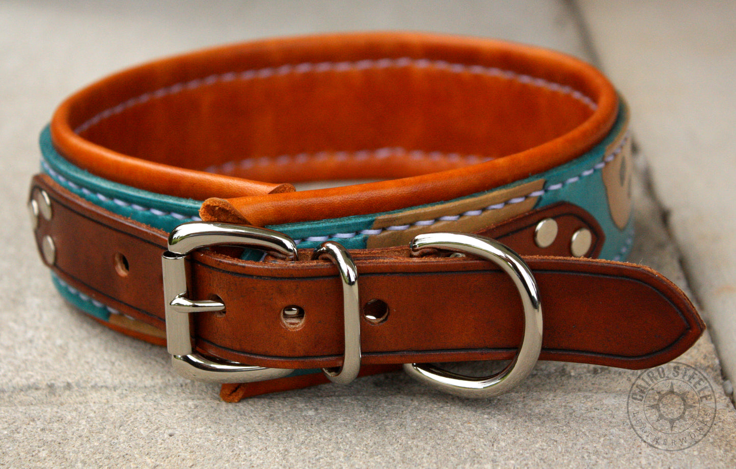 Cookie Collar & Short Leash [2025]