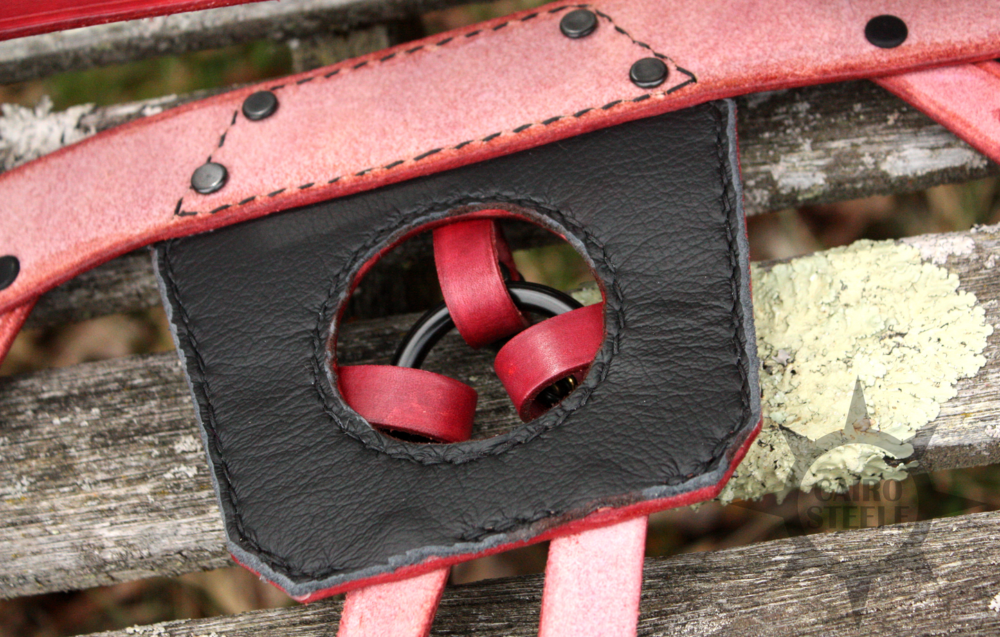 Mahogany Strap-On Harness [2025]