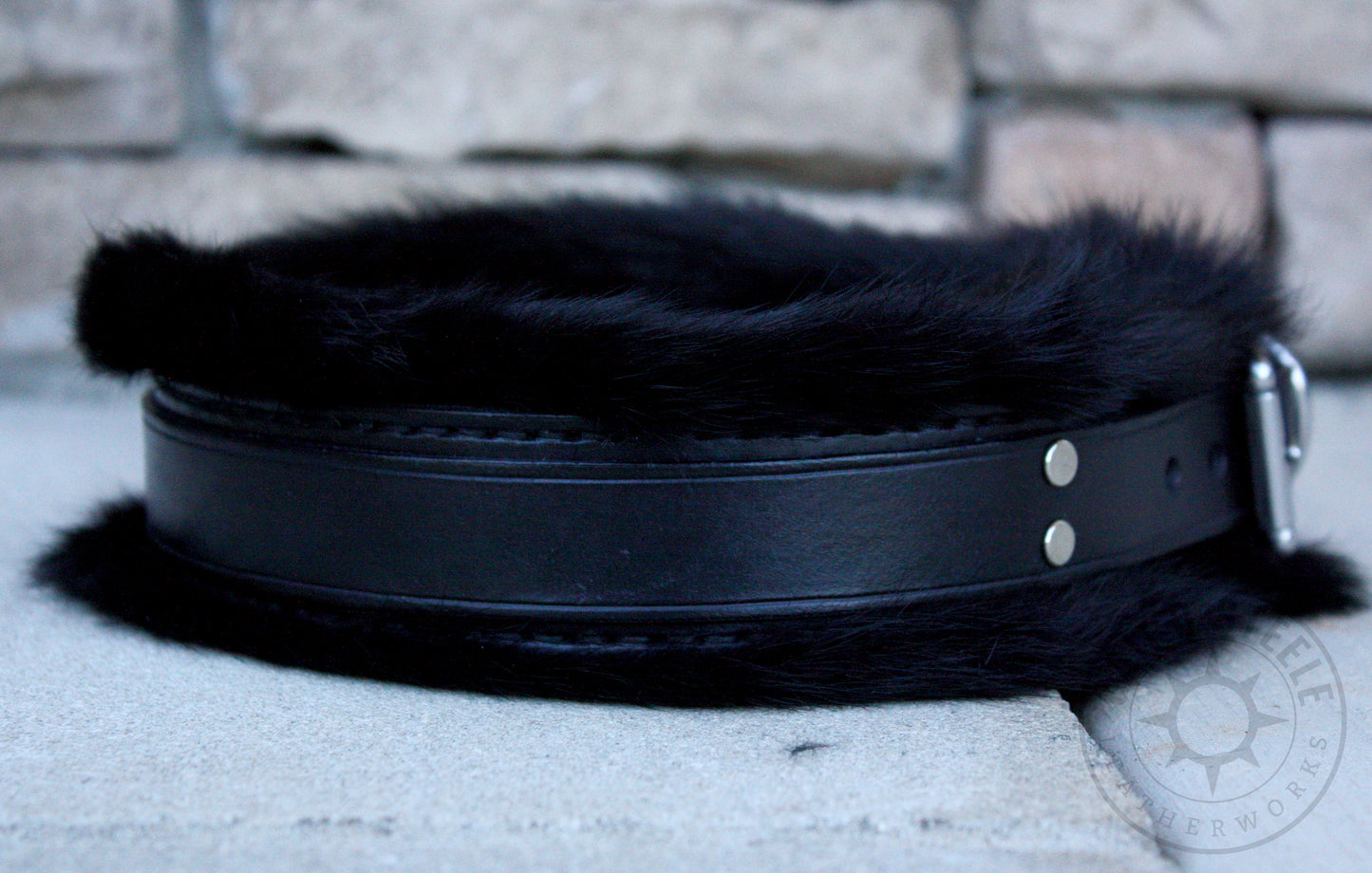 Black Fur-Lined Collar [2025]