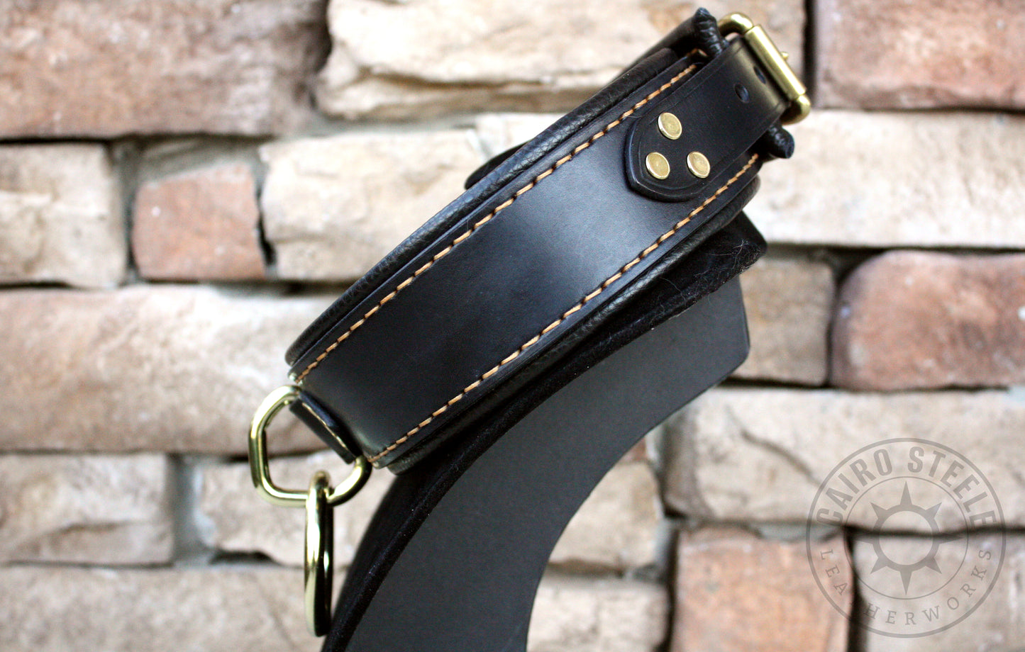 Black and Gold Loop Collar