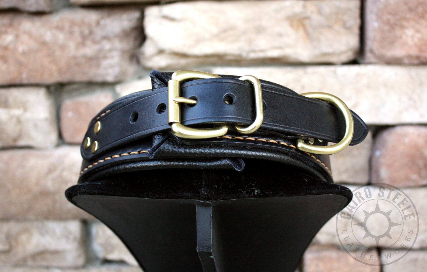 Black and Gold Loop Collar