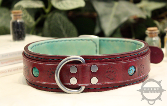 Burgundy & Turquoise Collar [2024]
