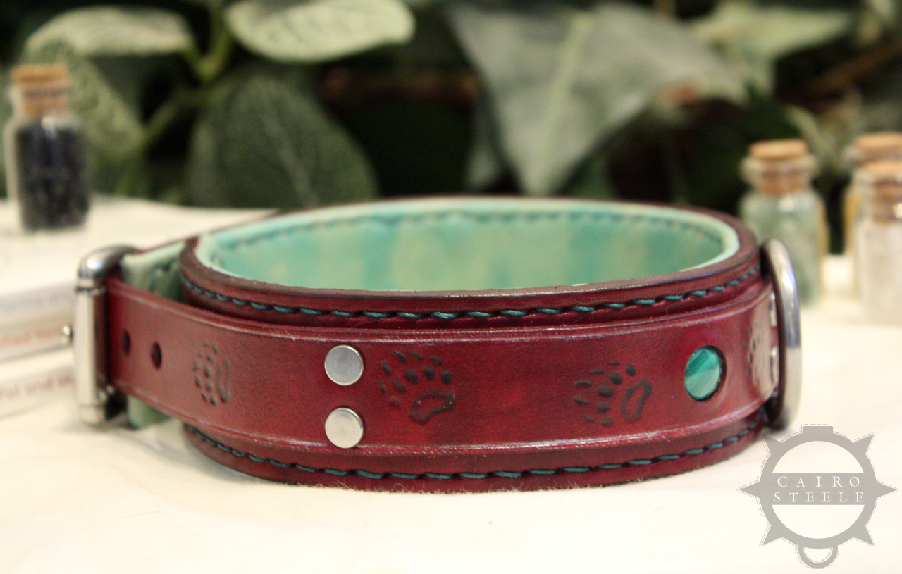 Burgundy & Turquoise Collar [2024]