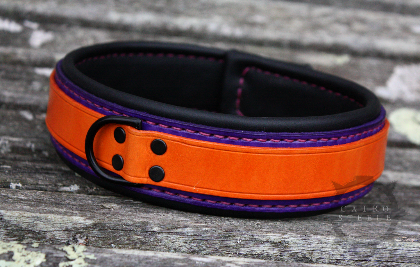 Neon Collar Pair [2025]