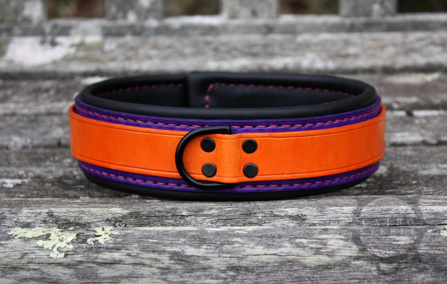 Neon Collar Pair [2025]