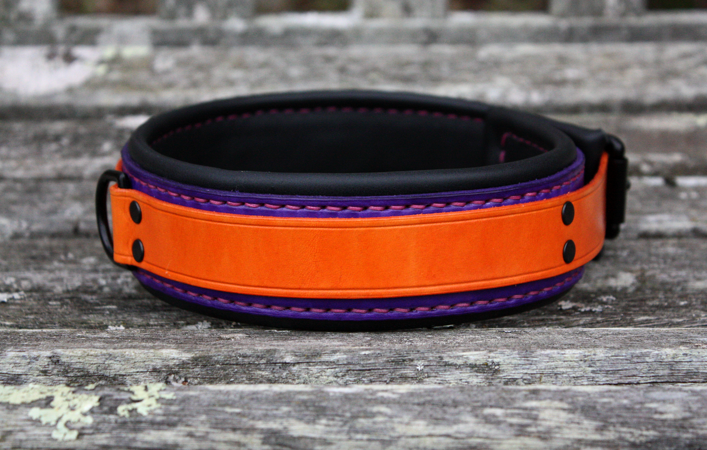 Neon Collar Pair [2025]