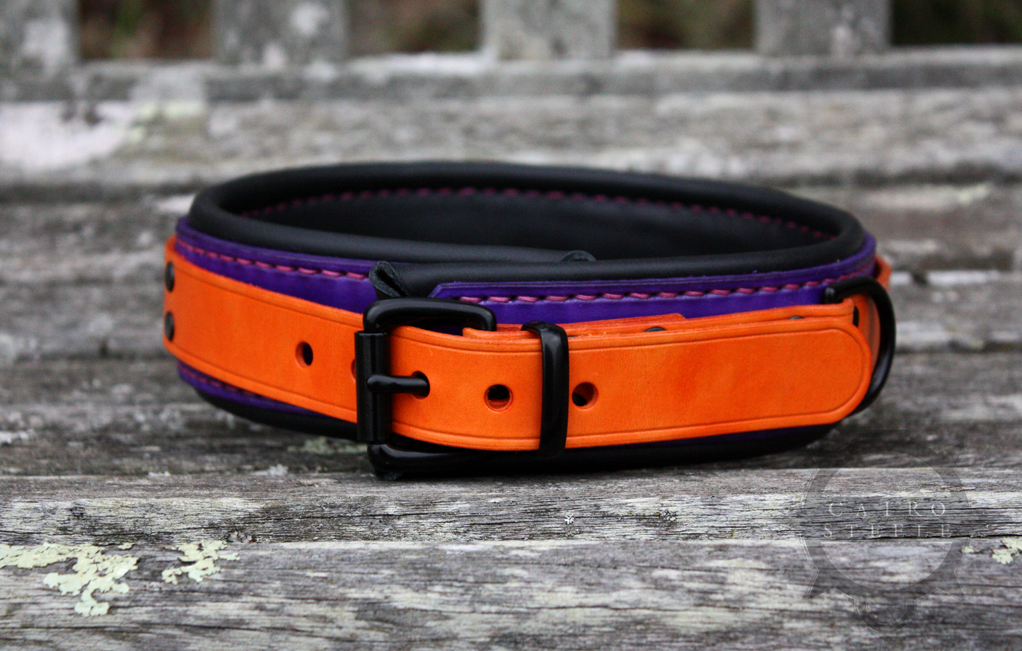 Neon Collar Pair [2025]