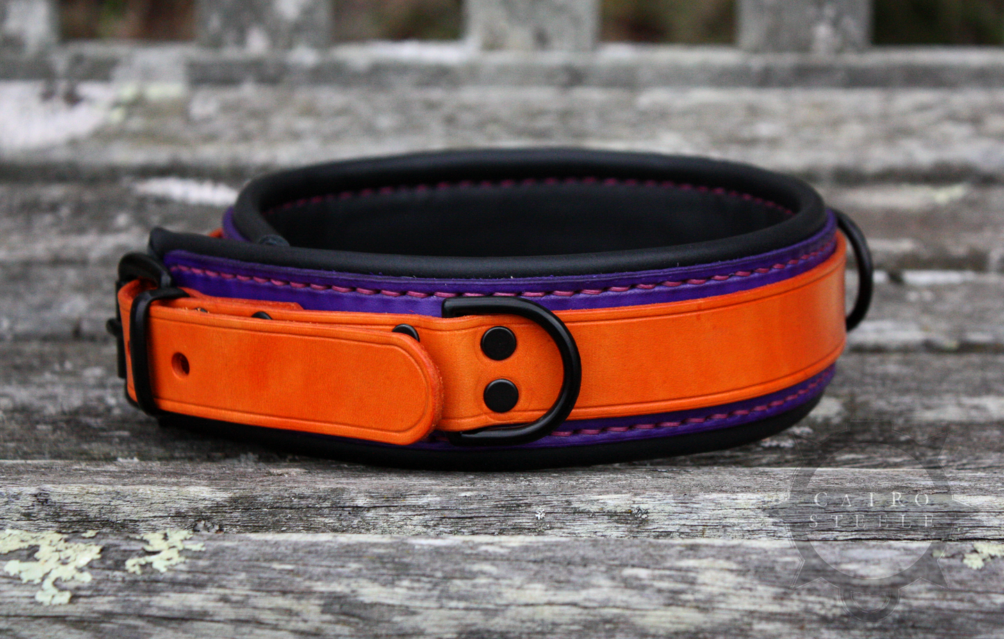 Neon Collar Pair [2025]