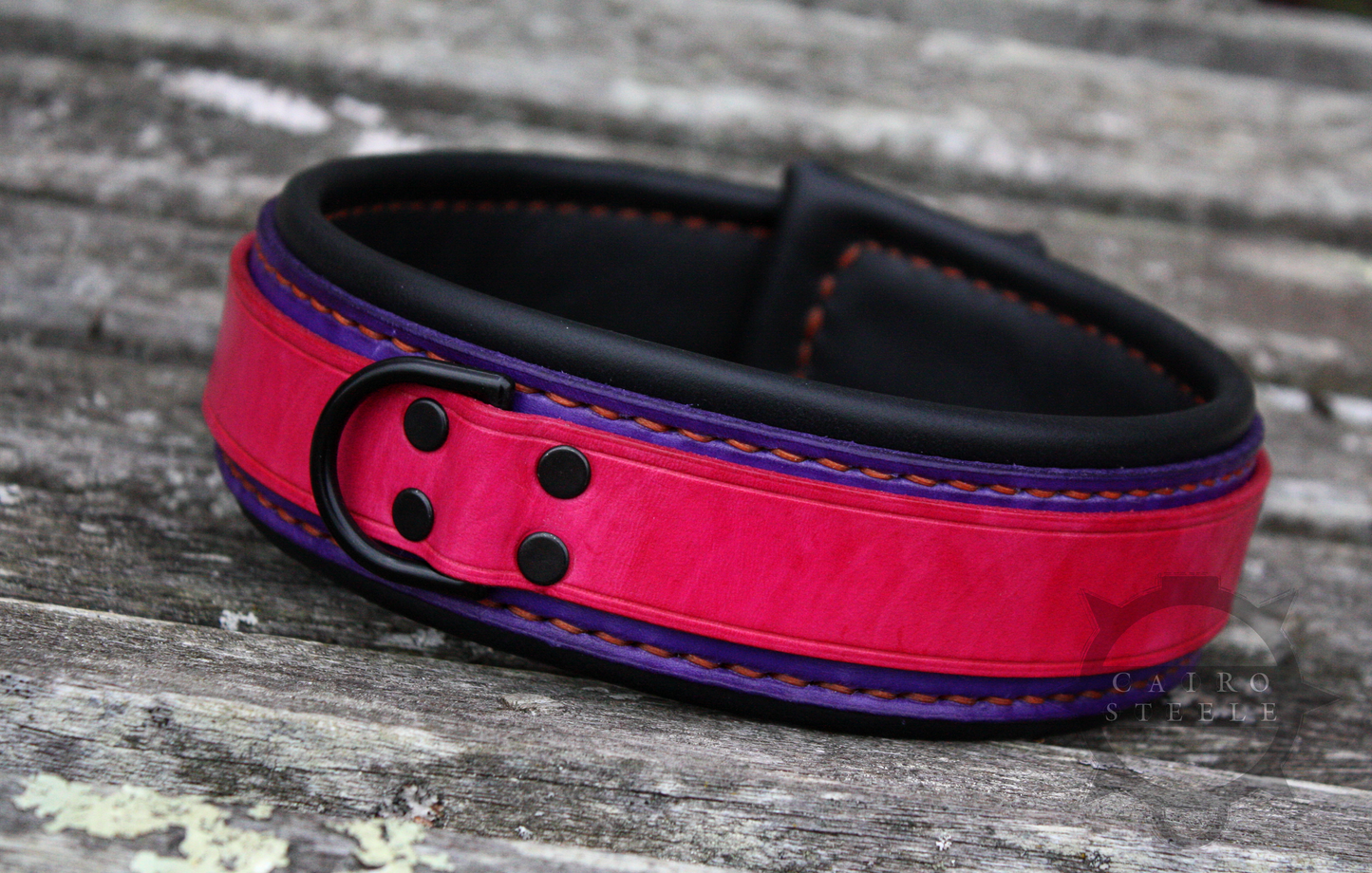 Neon Collar Pair [2025]