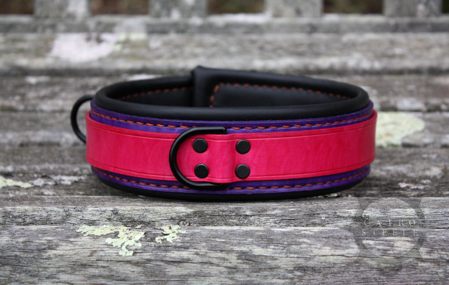 Neon Collar Pair [2025]