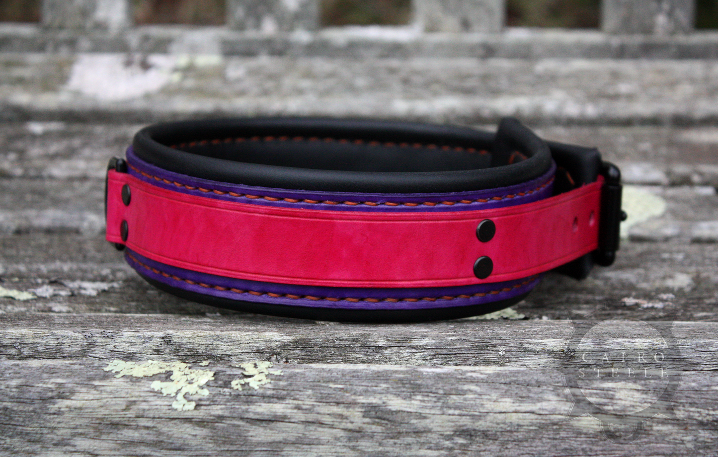 Neon Collar Pair [2025]