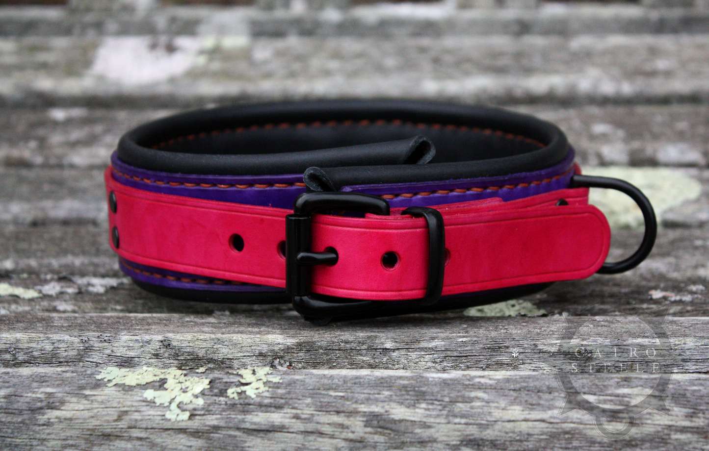 Neon Collar Pair [2025]