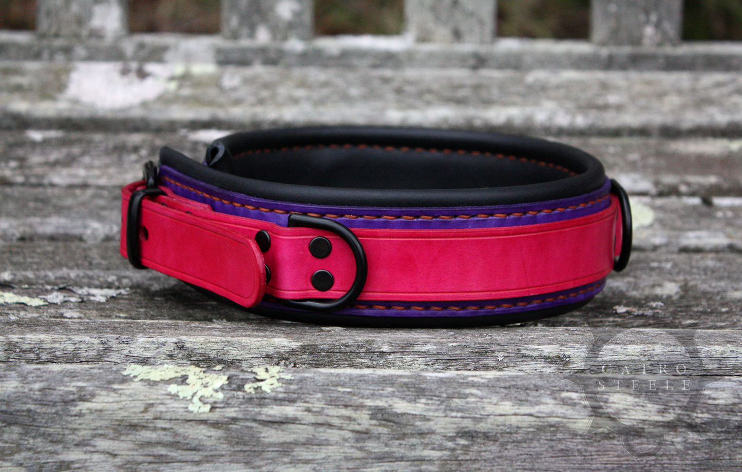 Neon Collar Pair [2025]