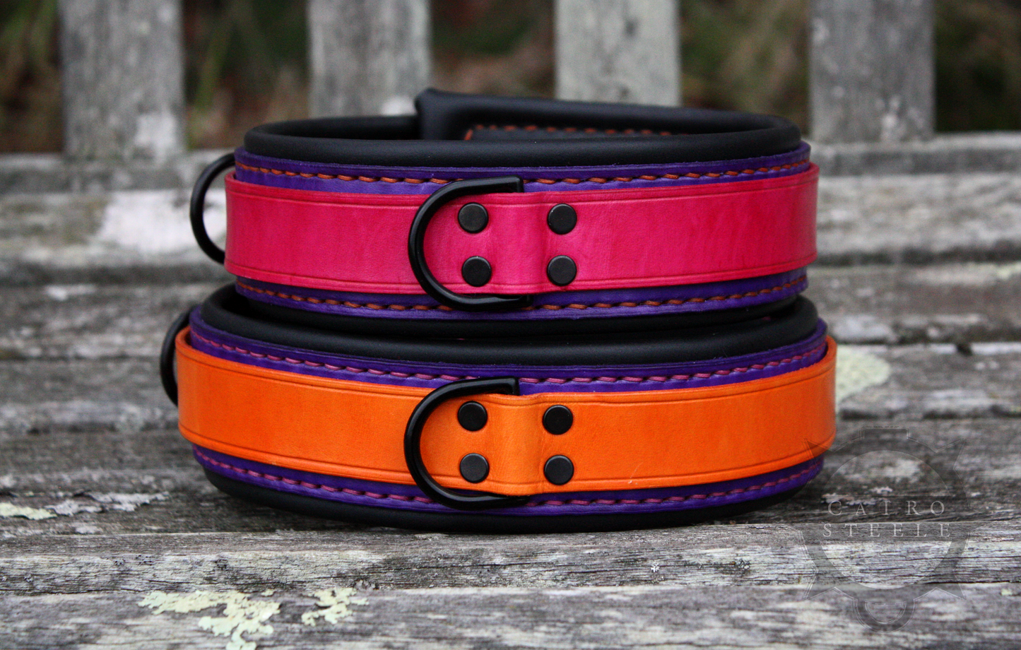 Neon Collar Pair [2025]