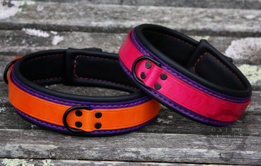 Neon Collar Pair [2025]