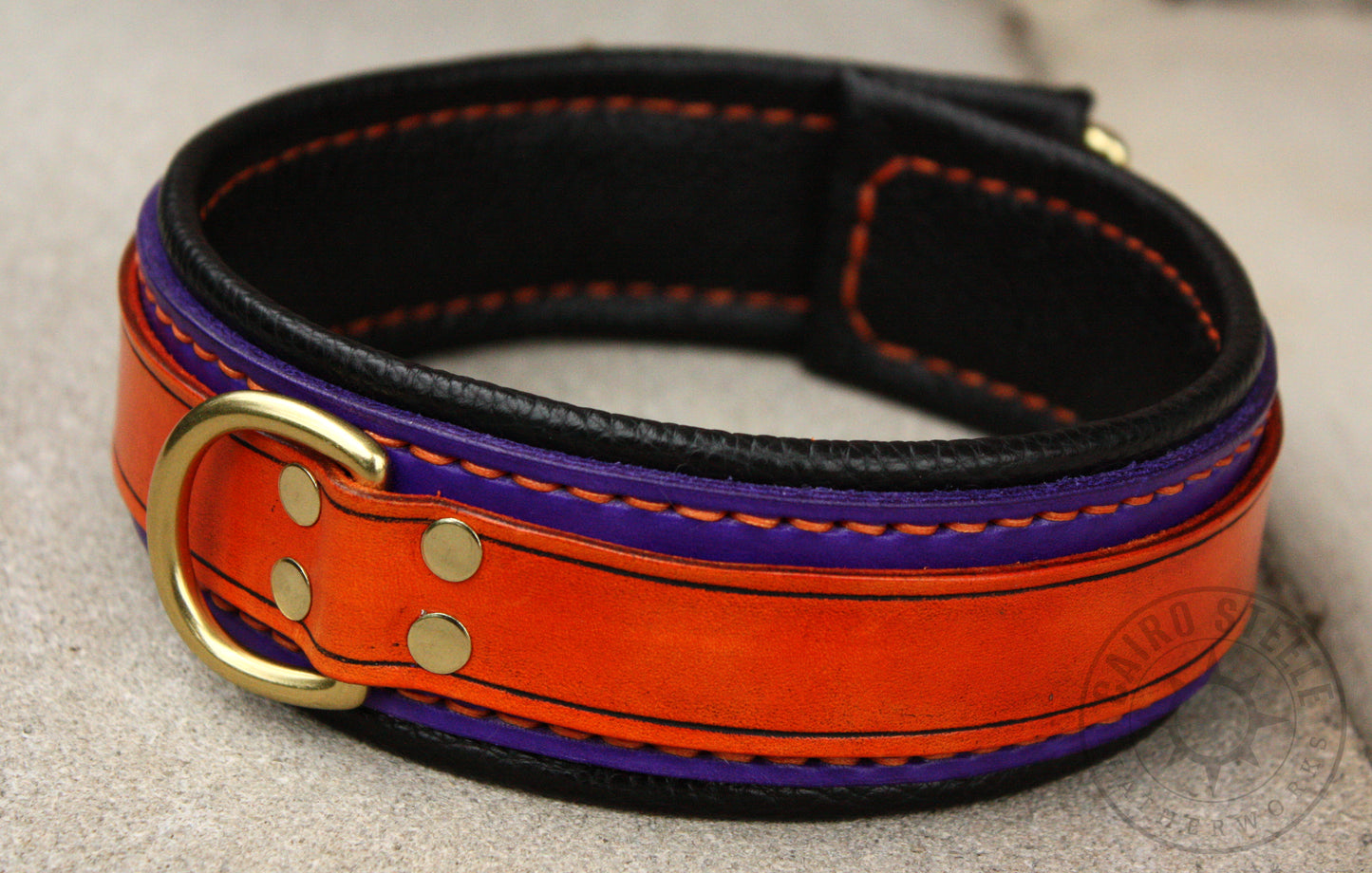 Orange and Purple Collar (Discounted)