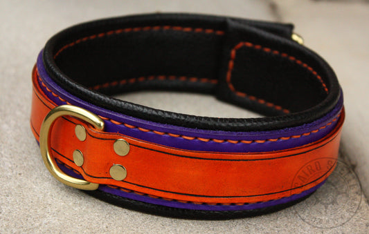 Orange and Purple Collar (Discounted)