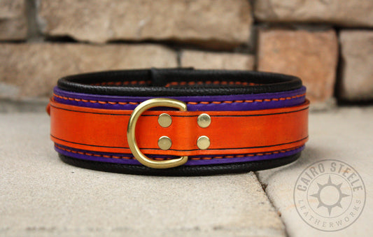 Orange and Purple Collar (Discounted)