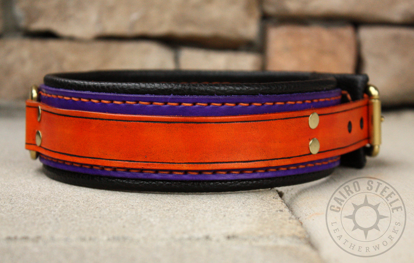 Orange and Purple Collar (Discounted)
