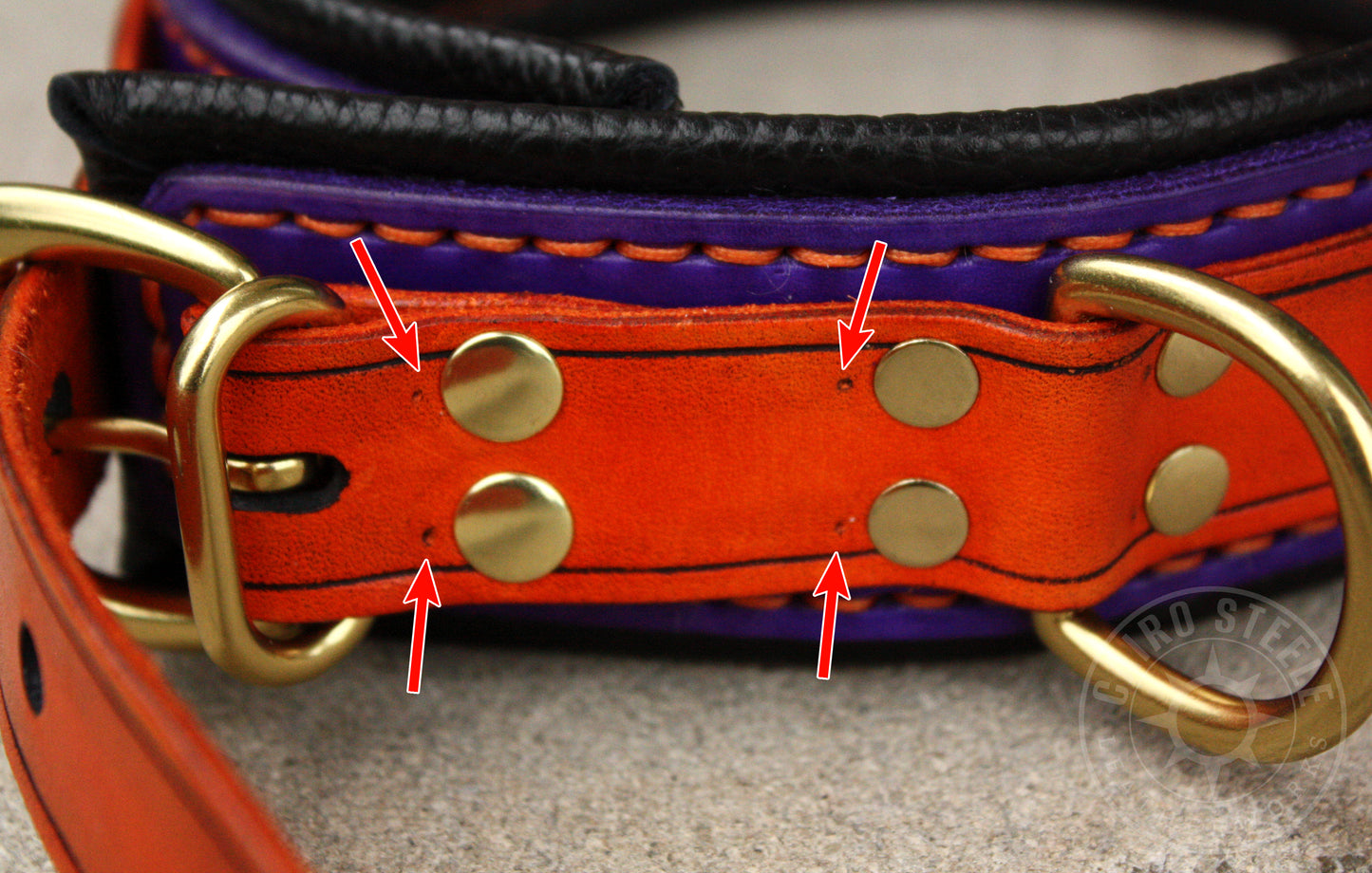 Orange and Purple Collar (Discounted)