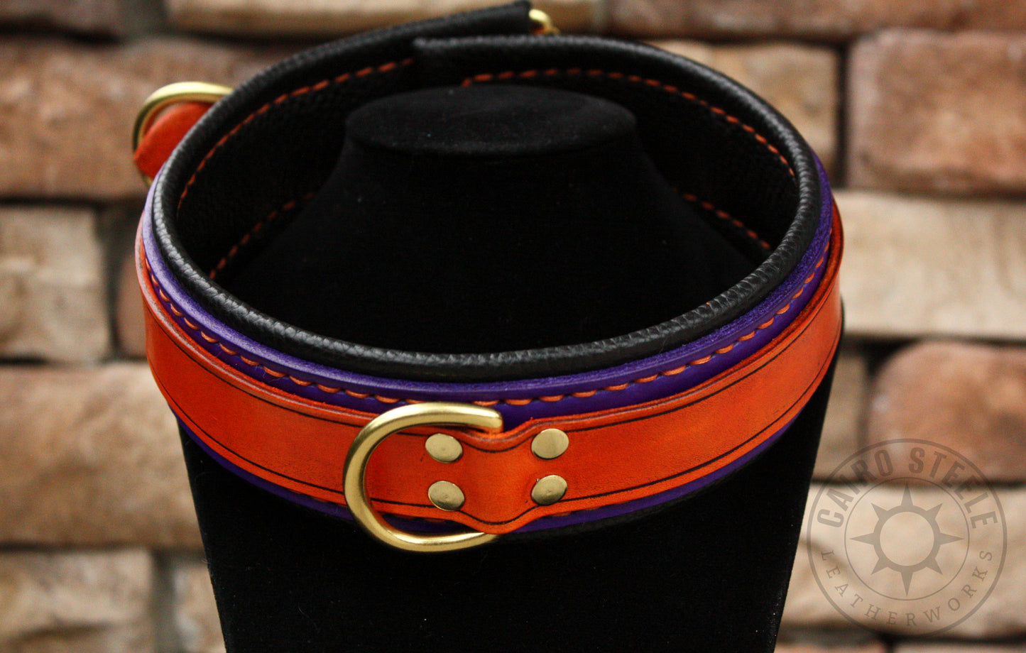 Orange and Purple Collar (Discounted)