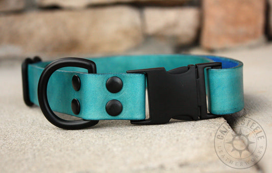 Aqua & Black Puppy Collar